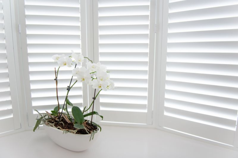 Window Shutters Replacement in Littleton, CO